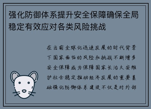 强化防御体系提升安全保障确保全局稳定有效应对各类风险挑战