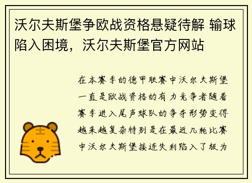 沃尔夫斯堡争欧战资格悬疑待解 输球陷入困境，沃尔夫斯堡官方网站