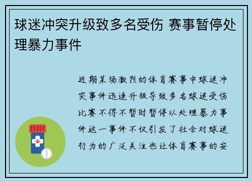 球迷冲突升级致多名受伤 赛事暂停处理暴力事件